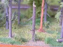 Pohled do modelového lesa